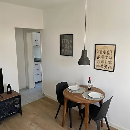 Casa Enrica - Bilocale A Con Giardino Holiday home Solduno